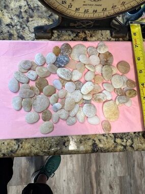 Potomac River Rock Pebble Mix - Natural Beige & White Tones